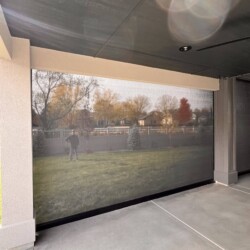 Garden view through mesh screen on patio